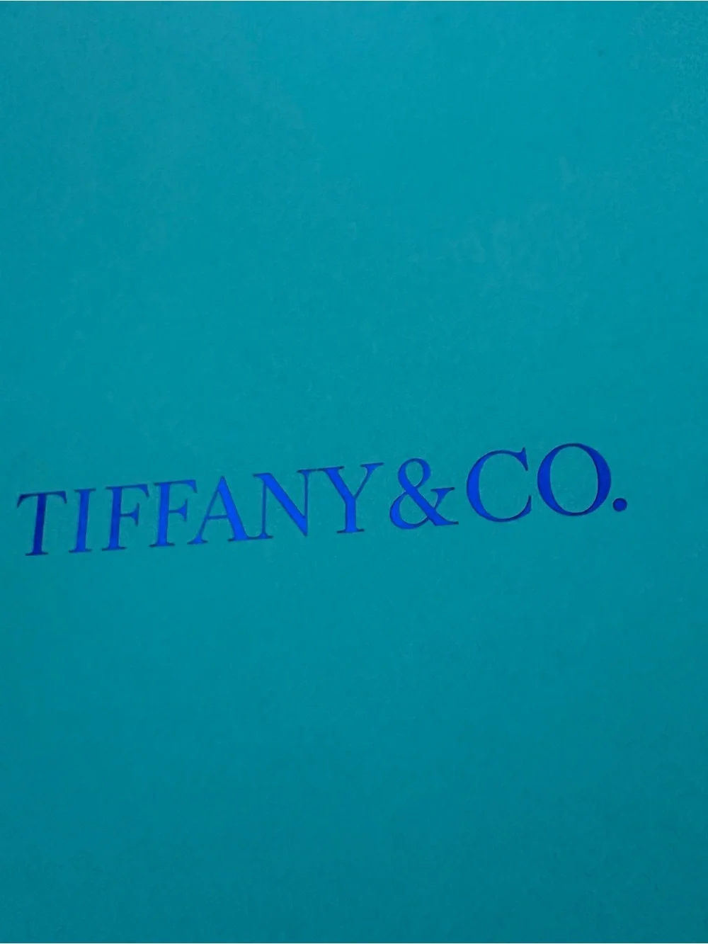 Louis Vuitton and Tiffany & Co. Shopping Gift Bags Set